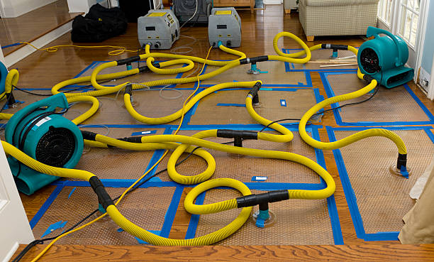 Professional Crawl Space Water Removal technician working in Lunenburg, MA